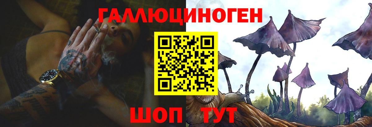 Псилоцибиновые грибы MAGIC MUSHROOMS Котовск